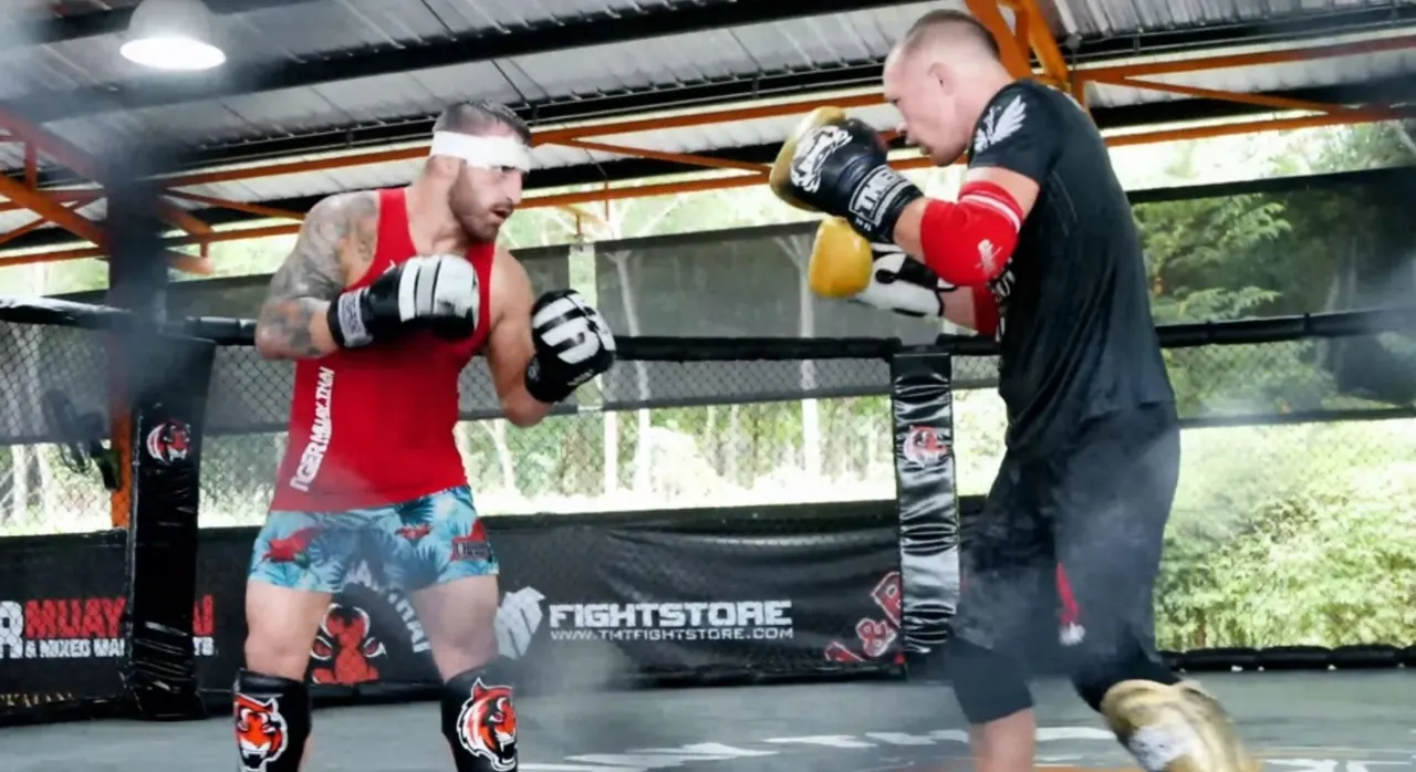 Волкановски и Ян спарринговали за годы до защит на UFC 333