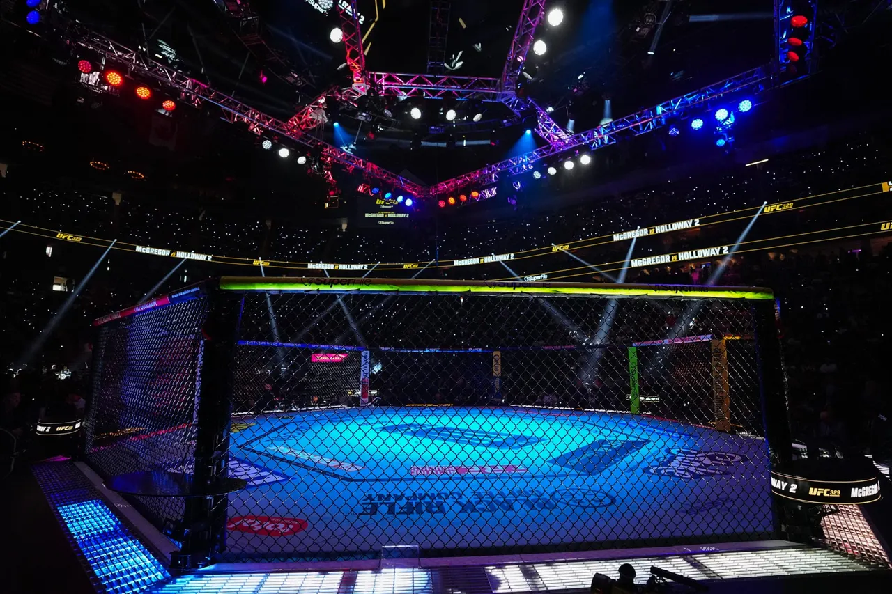 Анджела Хилл подерётся с Шанель Дайер на UFC 335