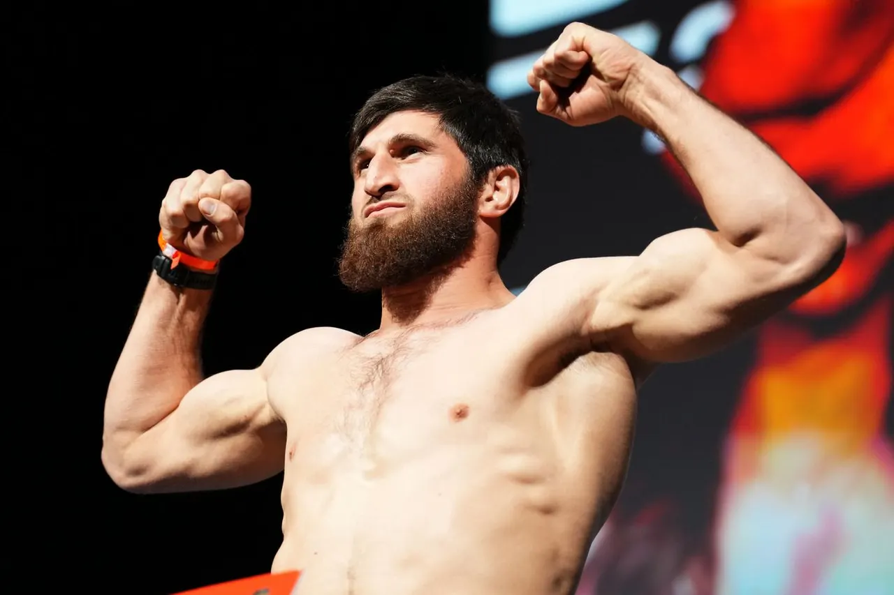 Магомед Анкалаев оценил возможность перехода в тяжёлый вес UFC